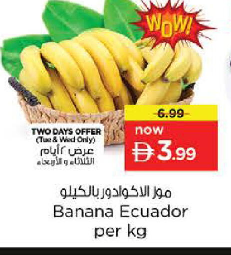 Banana from Ecuador available at نستو هايبرماركت in الإمارات العربية المتحدة , الامارات - الشارقة / عجمان