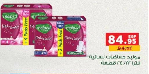 available at بنده in Egypt - القاهرة