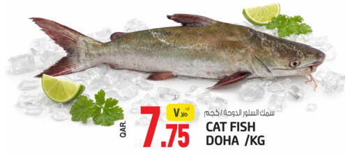 available at Saudia Hypermarket in Qatar - Al Shamal
