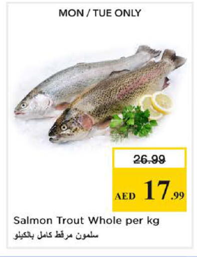 available at نستو هايبرماركت in الإمارات العربية المتحدة , الامارات - الشارقة / عجمان