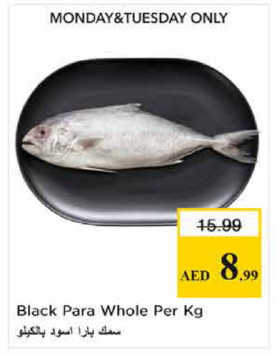 available at نستو هايبرماركت in الإمارات العربية المتحدة , الامارات - الشارقة / عجمان