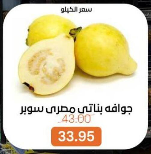 available at بيت الجملة in Egypt - القاهرة