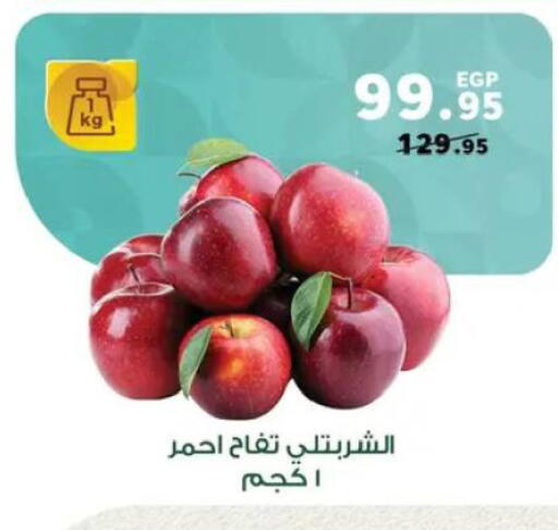 available at بنده in Egypt - القاهرة