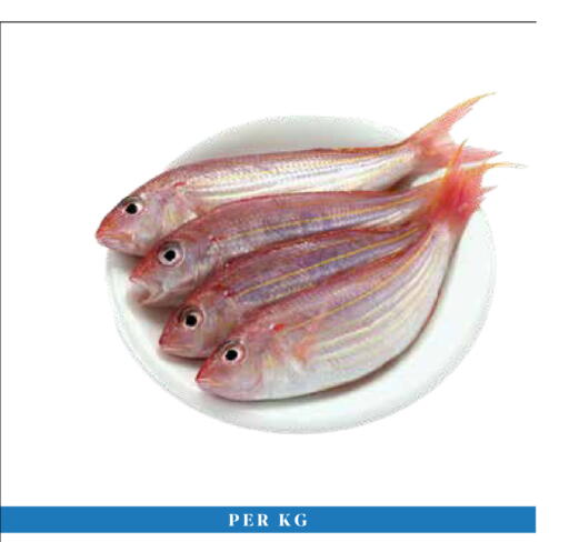 available at Trolleys Supermarket in UAE - Dubai