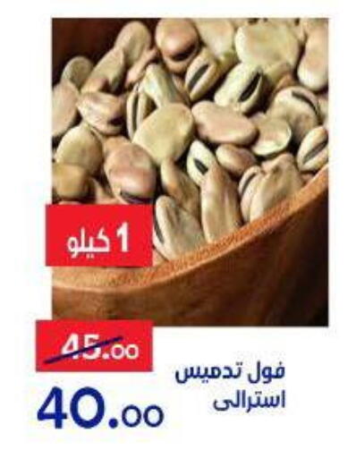 available at الدنيا بخير in Egypt - القاهرة