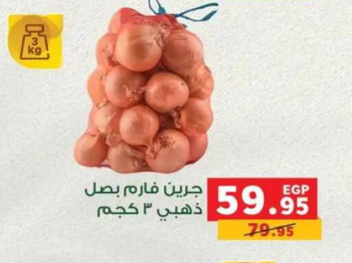 available at بنده in Egypt - القاهرة