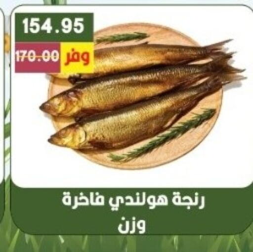 available at بشاير هايبرماركت in Egypt - القاهرة