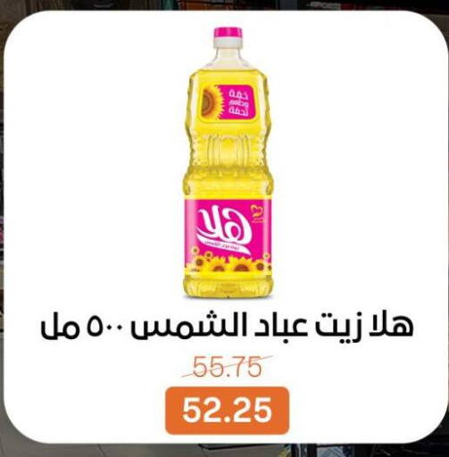 available at بيت الجملة in Egypt - القاهرة