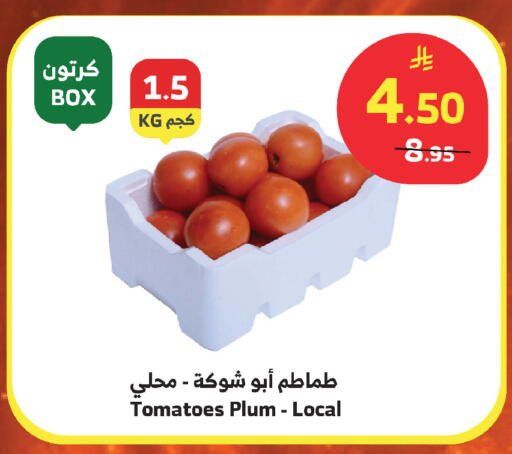 Plum Tomato available at الراية in مملكة العربية السعودية, السعودية, سعودية - أبها