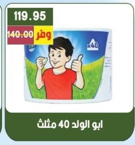 available at Bashayer hypermarket in Egypt - Cairo