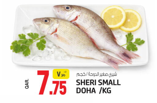 available at Saudia Hypermarket in Qatar - Al Shamal