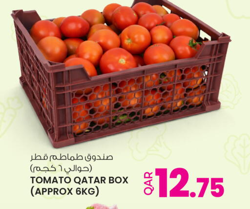 Tomato from Qatar available at أنصار جاليري in قطر - الدوحة