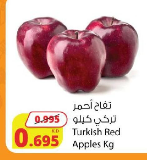 from Turkey available at شركة المنتجات الزراعية الغذائية in الكويت - محافظة الجهراء
