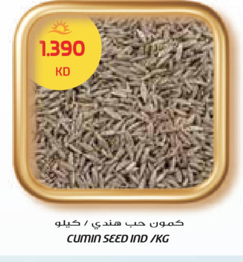 Cumin available at Grand Costo in Kuwait - Ahmadi Governorate