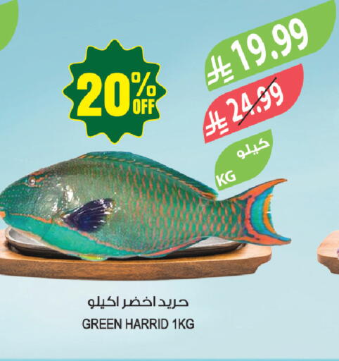 available at المزرعة in مملكة العربية السعودية, السعودية, سعودية - نجران