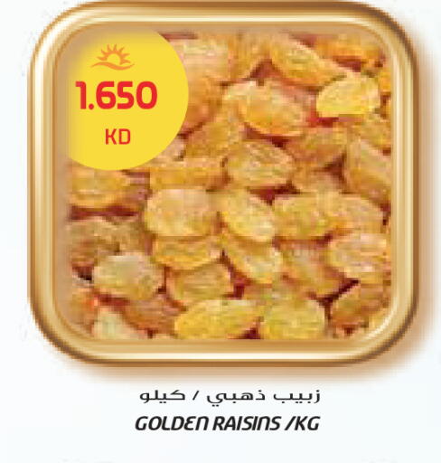 available at جراند كوستو in الكويت - محافظة الأحمدي