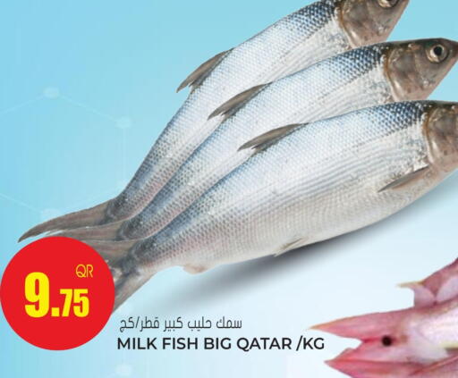 available at جراند هايبرماركت in قطر - الشحانية