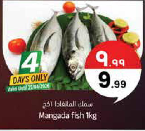 available at ستي فلاور in مملكة العربية السعودية, السعودية, سعودية - سكاكا