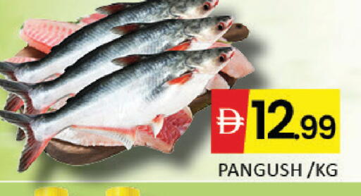 Mango available at Mango Hypermarket LLC in UAE - Dubai