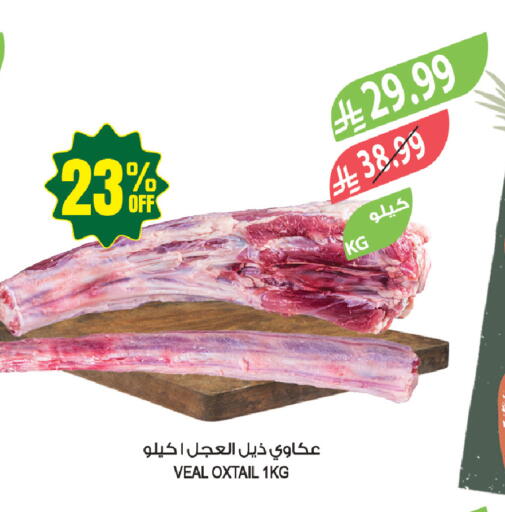 available at المزرعة in مملكة العربية السعودية, السعودية, سعودية - عرعر