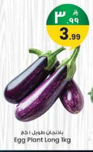 available at ستي فلاور in مملكة العربية السعودية, السعودية, سعودية - حائل‎