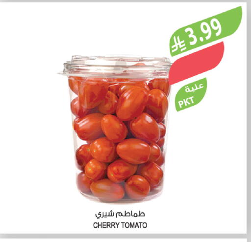 Cherry Cherry tomato available at المزرعة in مملكة العربية السعودية, السعودية, سعودية - الخبر‎