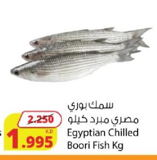 available at شركة المنتجات الزراعية الغذائية in الكويت - محافظة الجهراء