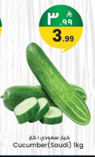 Cucumber from Saudi Arabia available at ستي فلاور in مملكة العربية السعودية, السعودية, سعودية - حائل‎