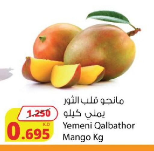 Mango from Yemen available at شركة المنتجات الزراعية الغذائية in الكويت - محافظة الجهراء