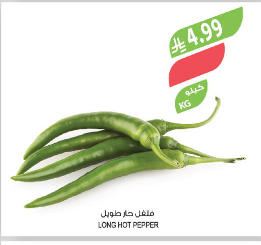 Pepper available at Farm  in KSA, Saudi Arabia, Saudi - Arar