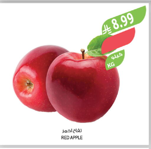 Apple available at المزرعة in مملكة العربية السعودية, السعودية, سعودية - عرعر