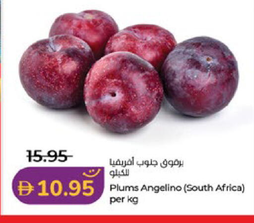 Plums from South Africa available at Lulu Hypermarket in UAE - Al Ain