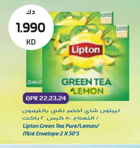 Lemon Mint available at Grand Costo in Kuwait - Ahmadi Governorate