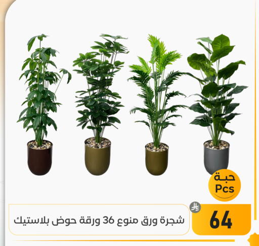 available at تخفيضات العائلة in مملكة العربية السعودية, السعودية, سعودية - المنطقة الشرقية