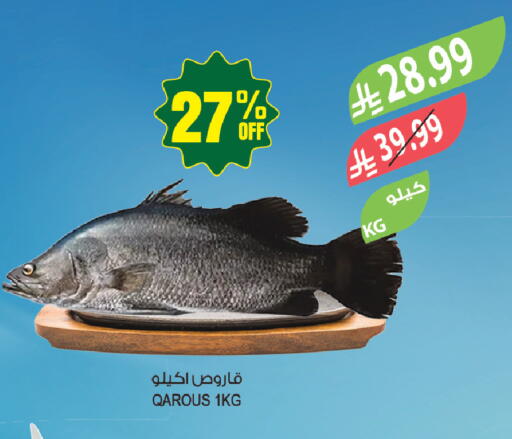 available at المزرعة in مملكة العربية السعودية, السعودية, سعودية - أبها