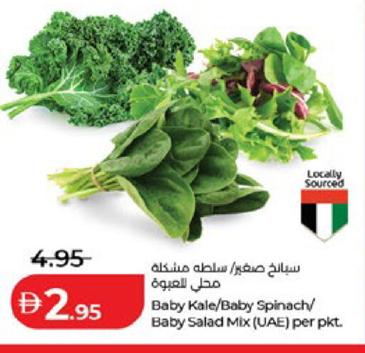 Kale Spinach available at Lulu Hypermarket in UAE - Al Ain