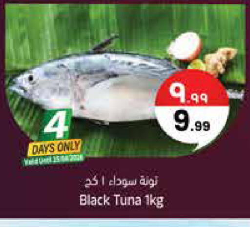 available at City Flower in KSA, Saudi Arabia, Saudi - Najran