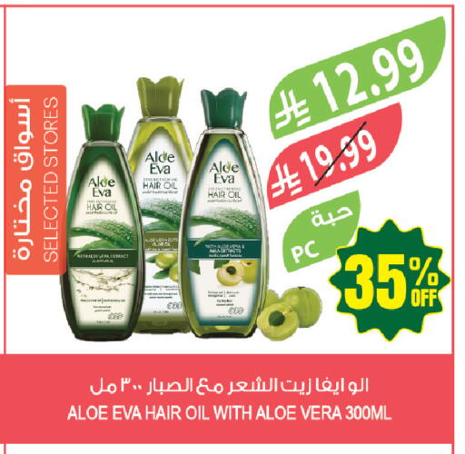 available at المزرعة in مملكة العربية السعودية, السعودية, سعودية - أبها