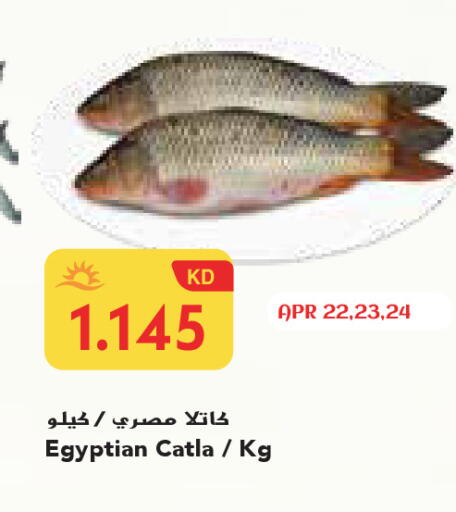 available at Grand Costo in Kuwait - Ahmadi Governorate