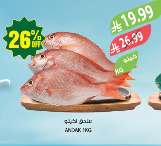 available at المزرعة in مملكة العربية السعودية, السعودية, سعودية - عرعر