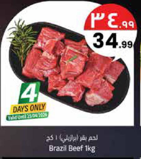 available at City Flower in KSA, Saudi Arabia, Saudi - Sakaka
