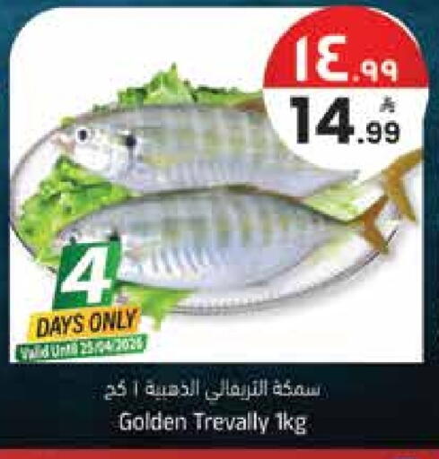 available at ستي فلاور in مملكة العربية السعودية, السعودية, سعودية - حائل‎