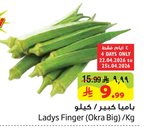 Okra available at Layan Hyper in KSA, Saudi Arabia, Saudi - Dammam