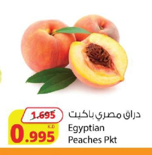 from Egypt available at شركة المنتجات الزراعية الغذائية in الكويت - محافظة الجهراء