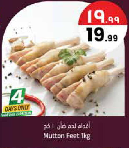 available at City Flower in KSA, Saudi Arabia, Saudi - Najran