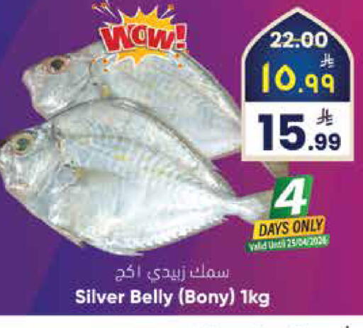 available at ستي فلاور in مملكة العربية السعودية, السعودية, سعودية - الجبيل‎