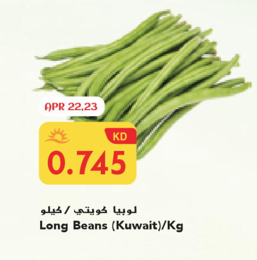 from Kuwait available at Grand Costo in Kuwait - Ahmadi Governorate