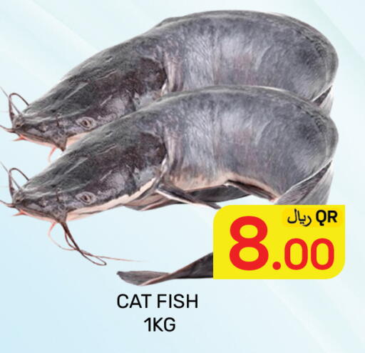 available at مجلس هايبرماركت in قطر - الدوحة