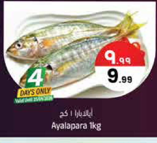 available at City Flower in KSA, Saudi Arabia, Saudi - Najran