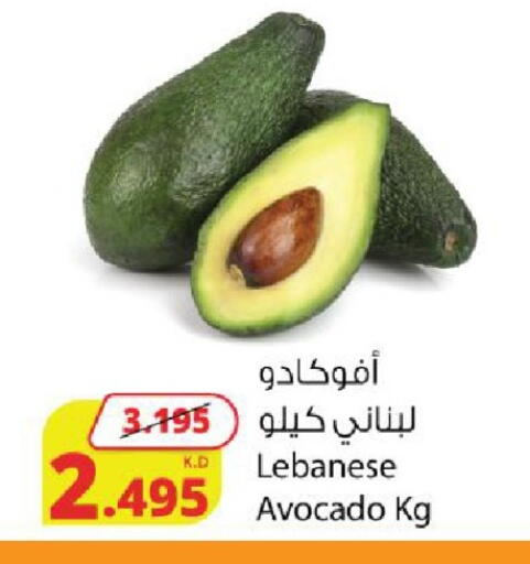 Avocado from Lebanon available at شركة المنتجات الزراعية الغذائية in الكويت - محافظة الجهراء